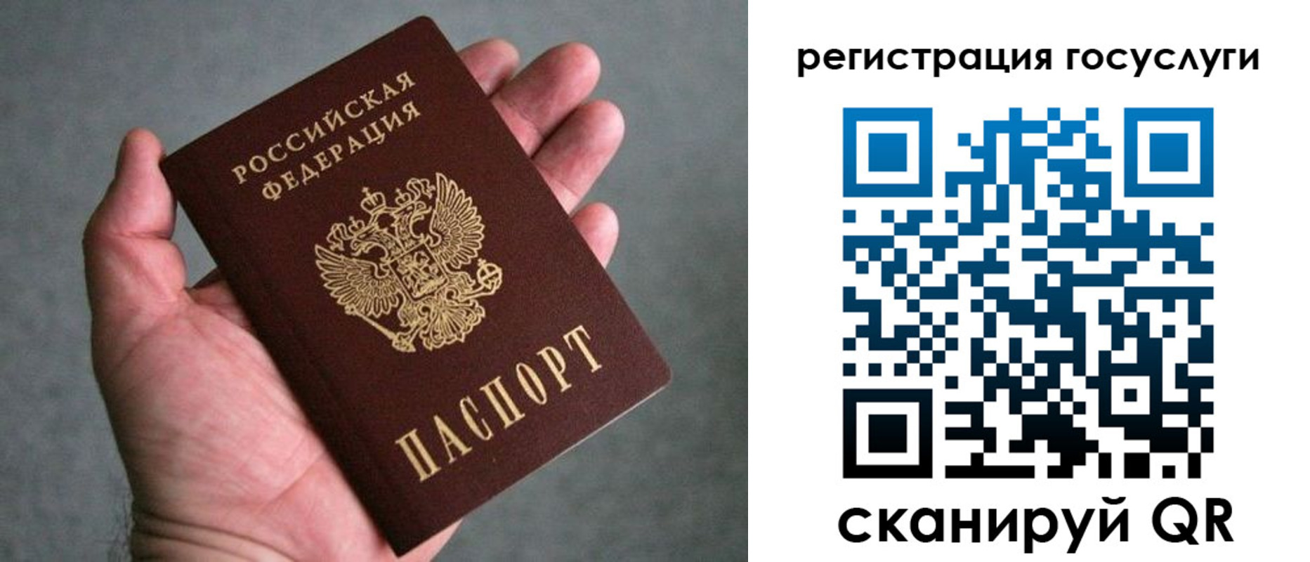 прописка поиск в Самарской области